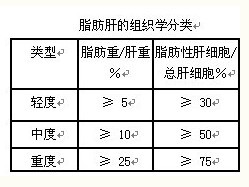 脂肪肝的组织学分类